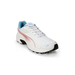 Puma Cricket Power 2.0 Men Cricket Shoes image 1