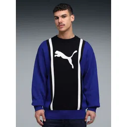 Puma Future Archive Unisex Colourblocked Cotton Relaxed Fit Crew Neck Sweatshirt-picture-20