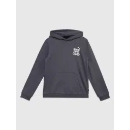 Puma Kids Grey Cotton Printed Full Sleeves Hoodie-picture-41