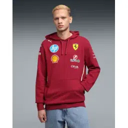 puma Men Hooded Hoodie -picture-16