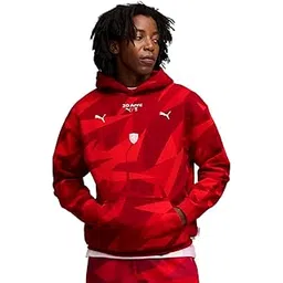 puma Men Hoodies-picture-30