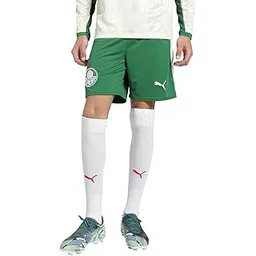 puma Men's Hybrid Shorts-picture-50