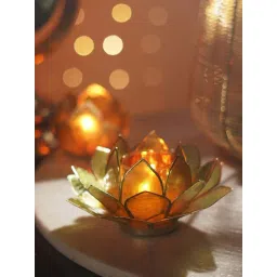 Pure Home and Living Amber & Green Ombre Metal 22 Petals Capiz Tealight Holder-picture-39