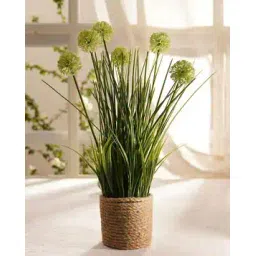 pure home and living Artificial Onion Flower with Rattan Basket-picture-37