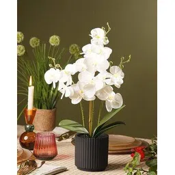pure home and living  Artificial Orchid in Ceramic Pot-picture-32