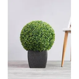 pure home and living Artificial Seagrass Topiary-picture-29