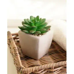 pure home and living Artificial Succulents with Pot-picture-47