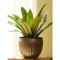 Pure Home and Living Bronze Aluminium Planter (Medium)-picture-17