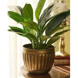 pure home and living Bronze Metal Planter -picture-47