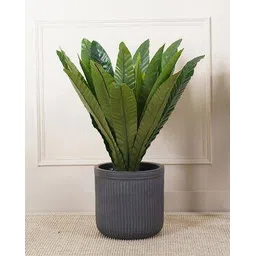 pure home and living Decorative Artificial Plant-picture-27