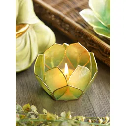 Pure Home and Living Green & Gold Toned 12 Petals Candle Holders-picture-16