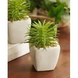 pure home and living Green Artificial Cactus Succulent Plant with Cement Pot-picture-25