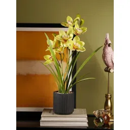 Pure Home and Living Green Artificial Cymbidium in Ceramic Pot-picture-45
