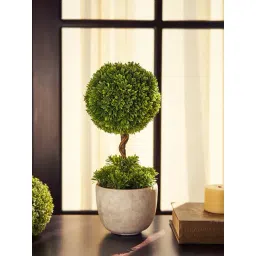 Pure Home and Living Green Plastic Potted Plants-picture-44