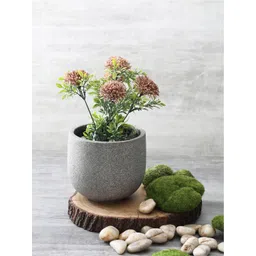 Pure Home and Living Grey Solid Round Classic Planter-picture-41