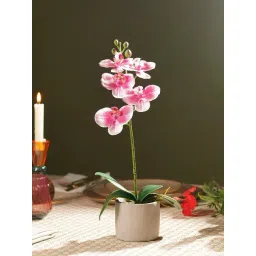 Pure Home and Living Pink Artificial Orchid in Cement Pot-picture-28