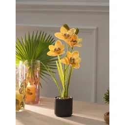 Pure Home and Living Yellow Artificial Cymbidium in Ceramic Pot-picture-24