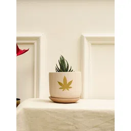 PUREZENTO Beige Printed Jeanie Planter-picture-24