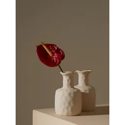 PUREZENTO White Textured Ceramic Vases-picture-21