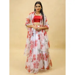 PURI MAA Printed U-Neck Semi-Stitched Lehenga & Ready to Wear Blouse With Dupatta-picture-20