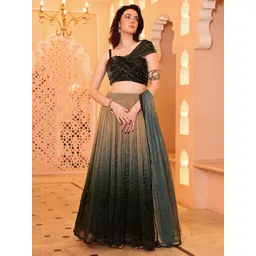 purvaja Digital Print Semi Stitched Lehenga Choli-picture-13