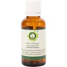 R V Essential Pure Nutmeg Essential Oil 50ml- Myristica Fragrans (100% Pure and Natural Steam Distilled)-picture-10