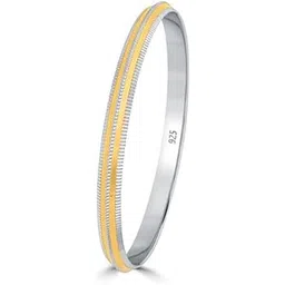 raajraani Pure 925 Sterling Silver Bracelet for Men| Twinline 925 Sterling Silver Punjabi Sikhi Kada for Men | Rhodium & Gold Finish, No Stone | Gift for Him-picture-28