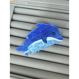 Radhya Accessories Women Claw Clip-picture-22