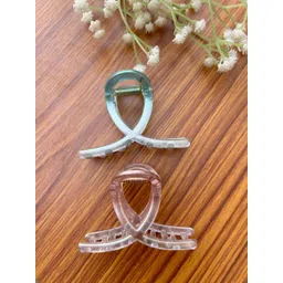 Radhya Accessories Women Set of 2 Claw Clip-picture-14