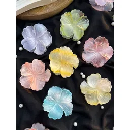 Radhya Accessories Women Set of 6 Claw Clip-picture-21