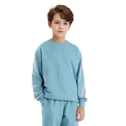 Rare Ones Boys Blue Cotton Blend Printed Sweatshirt-picture-15