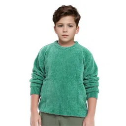 Rare Ones Boys Green Cotton Solid Sweater-picture-14