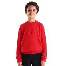 RARE ONES Boys Self Design Round Neck Long Sleeves Pullover-picture-25