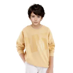 Rare Ones Boys Yellow Cotton Printed Sweatshirt-picture-39