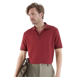 RARE RABBIT Men Solid Polo Collar Cotton T-shirt-picture-33