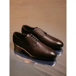 Rare Rabbit Men's Brown Derby Shoes-picture-42