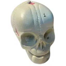 Rasayan 10ml Specific Gravity Bottle, 4202 (Pack of 2)-picture-19