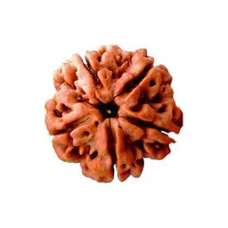 RAVIOUR LIFESTYLE Contemporary Pendants-picture-38