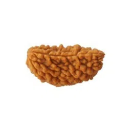 RAVIOUR LIFESTYLE Durga gems Unisex Alloy 1 Mukhi Rudraksha Natural Lab Certified Pendants-picture-10