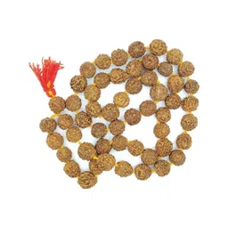 RAVIOUR LIFESTYLE Synthetic Necklace-picture-15