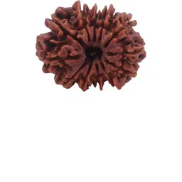 RAVIOUR LIFESTYLE Unisex Brown Pendant-picture-40