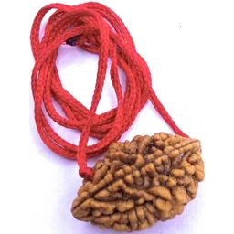 RAVIOUR LIFESTYLE Unisex Brown Pendant-picture-27