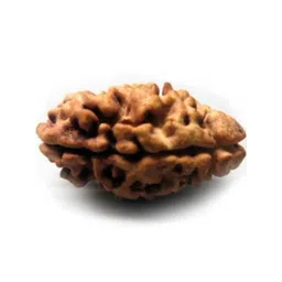 RAVIOUR LIFESTYLE Unisex Brown Pendant-picture-12