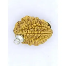 RAVIOUR LIFESTYLE Unisex Gold Pendant-picture-41