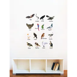 rawpockets Multicoloured Birds Names Wall Stickers-picture-13