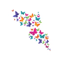 rawpockets Multicoloured Colourful Butterflies PVC Vinyl Wall Stickers image 4