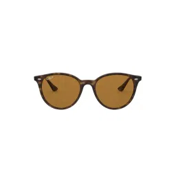 Ray-Ban 0RB4305 Polar Brown Polarized Highstreet Round Sunglasses - 53 mm-picture-33