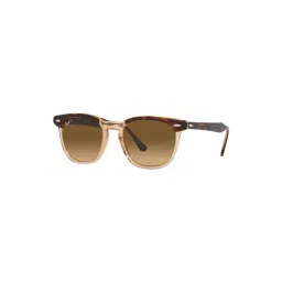 Ray-Ban Brown Polarized Square Unisex Sunglasses-picture-36