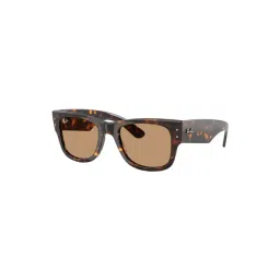 Ray-Ban Evolution Brown Square UV Protection Unisex Sunglasses-picture-15