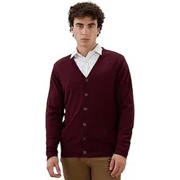Men Regular Fit Solid Pattern Merino Wool Acrylic Blend Full Sleeve V Neck Casual Winter Wear Brown-image-34